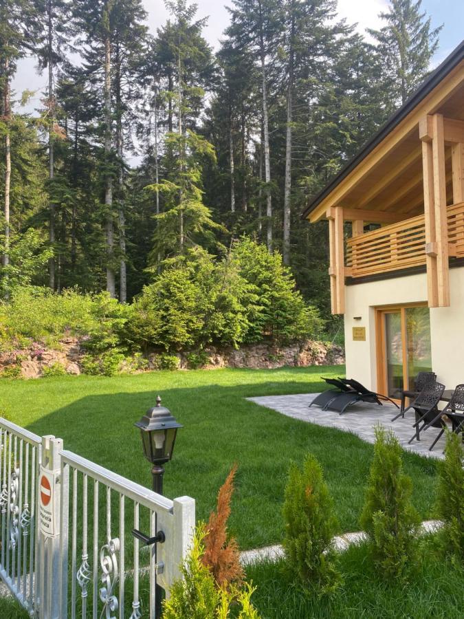 Chalet Relax Molveno E Andalo Dolomiti Βίλα Εξωτερικό φωτογραφία