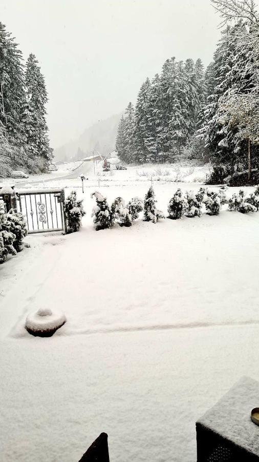 Chalet Relax Molveno E Andalo Dolomiti Βίλα Εξωτερικό φωτογραφία