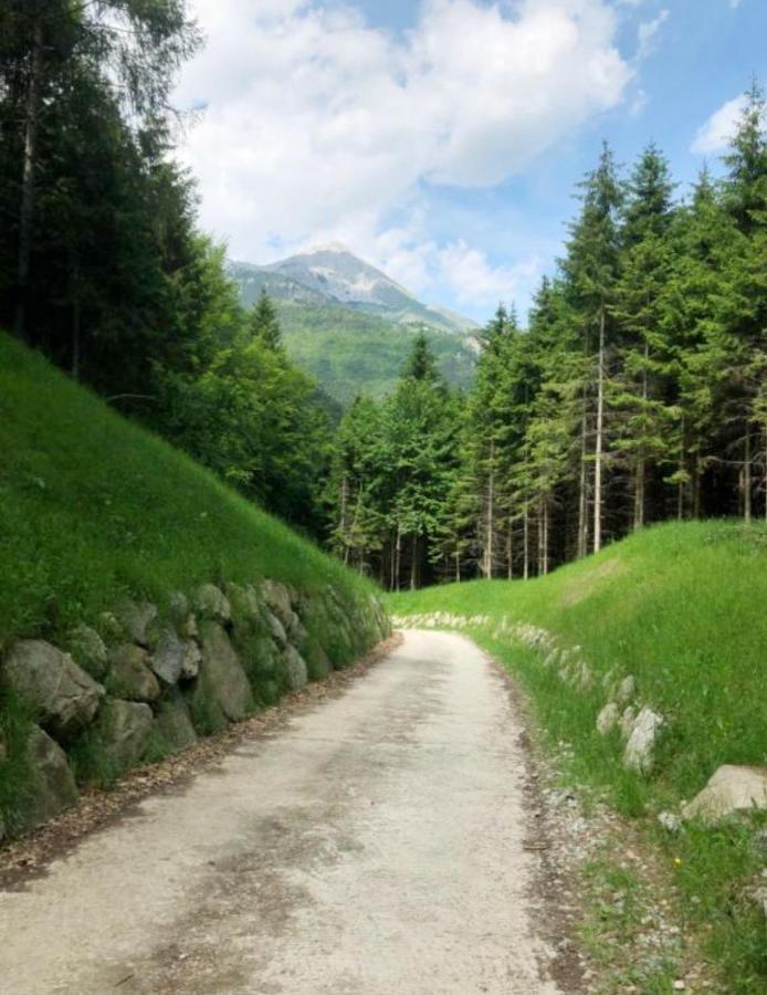 Chalet Relax Molveno E Andalo Dolomiti Βίλα Εξωτερικό φωτογραφία