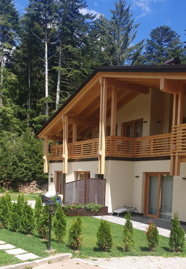 Chalet Relax Molveno E Andalo Dolomiti Βίλα Εξωτερικό φωτογραφία